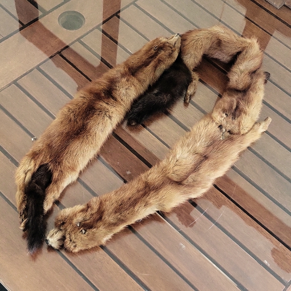 3 Minks Vintage Scarf